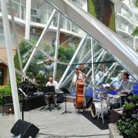 High Stakes Jazz quartet (photo 7)